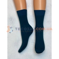 Шкарпетки Жіночі MASTER STEP 7130 Демі Аквамарін
