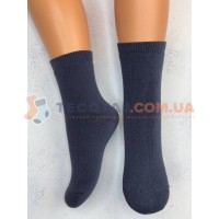 Шкарпетки  MASTER STEP 0530 Зима Антрацит