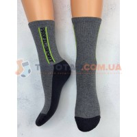 Шкарпетки  MASTER STEP 3431 Зима  Сірий меланж Profil-Sport