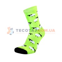 Шкарпетки Дитячі Дюна 4063 Демі  Лайм 2783