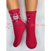 Шкарпетки Дитячі KID STEP 4433 Демі Кораловий Котик з квіточками