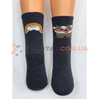 Шкарпетки Дитячі KID STEP 4535 Зима Антрацит меланж Новорічний коргі