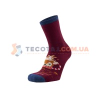 Шкарпетки Дитячі Дюна 4290 Зима Бордо 2687