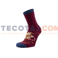 Шкарпетки Дитячі Дюна 4290 Зима Бордо 2687