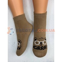 Шкарпетки Дитячі KID STEP 4537 Зима Бежевий Ведмедик GRRR