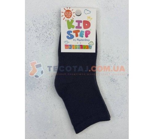 Шкарпетки  MASTER STEP 0530 Зима Антрацит