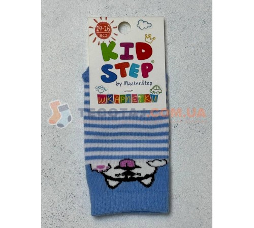 Шкарпетки Дитячі KID STEP 4032 Демі Блакитний Цуцик хаскі/смужки