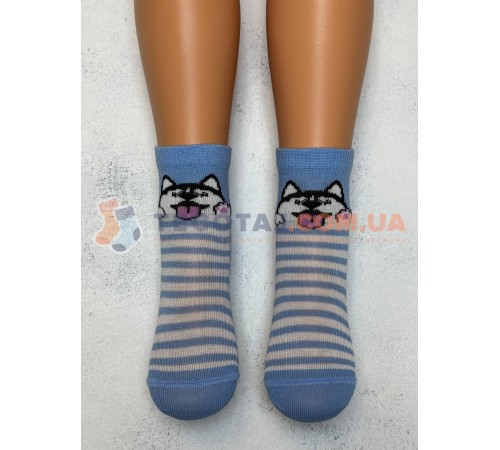 Шкарпетки Дитячі KID STEP 4032 Демі Блакитний Цуцик хаскі/смужки