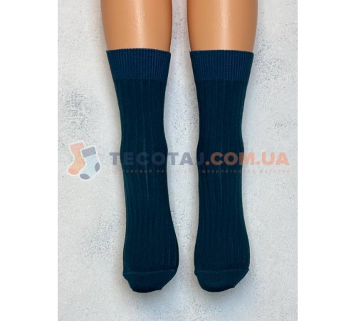 Шкарпетки Жіночі MASTER STEP 7130 Демі Аквамарін